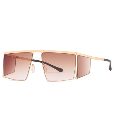 Momentum - Brown Sunglasses - Dani Joh