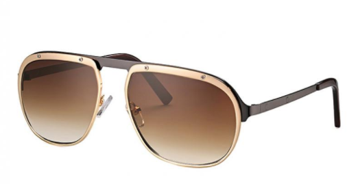 Rude Boy - Brown and Gold Sunglasses - Dani Joh